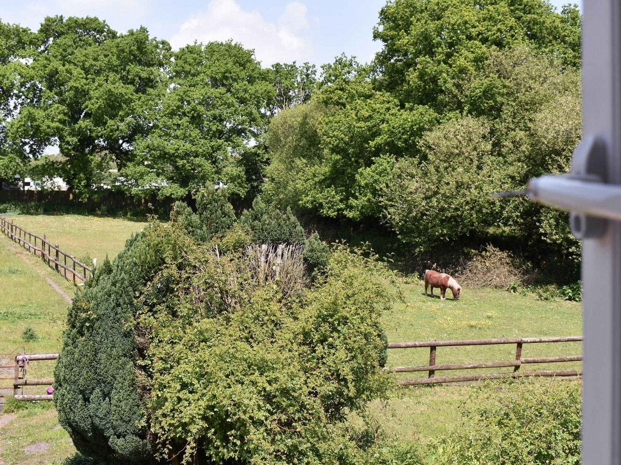 Oakdene Lodge Saint Leonards Экстерьер фото